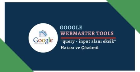 Google Sitelinks Arama Kutusu query - input alanı eksik