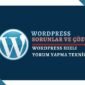 Wordpress Çok Hızlı Yorum Gönderiyorsunuz Hızlı Yorum Yapma