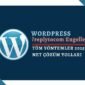 replytocom Wordpress Uzantısı Engelleme - Google Console